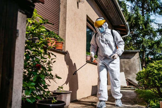 Best Cockroach Control Services  in Robins, IA