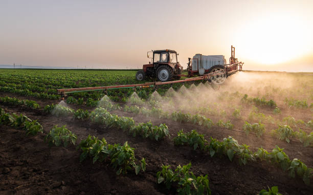 Best Pest Prevention Services  in Robins, IA