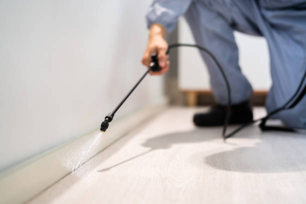 Best Best Pest Control Companies  in Robins, IA