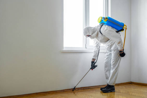Best Affordable Pest Control Services  in Robins, IA