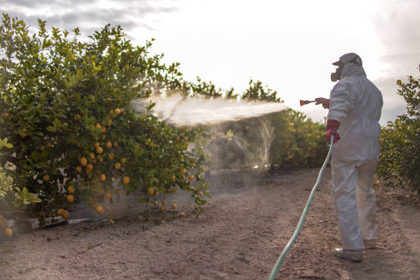 Robins, IA Pest Control Pros