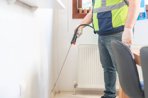 Best Flea Control Services  in Robins, IA