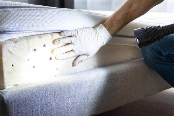 Best Wildlife Control Services  in Robins, IA