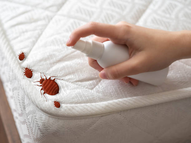 Best Pest Control Cost  in Robins, IA