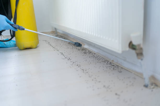 Best Pest Removal Services  in Robins, IA